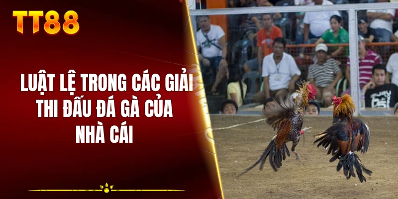 Luật lệ trong các giải thi đấu đá gà của nhà cái
